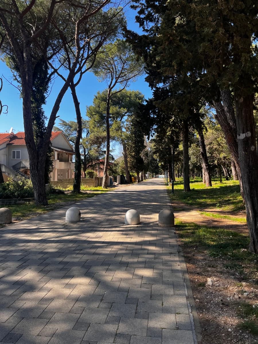 Pine-shaded promenade in Biograd na Moru
